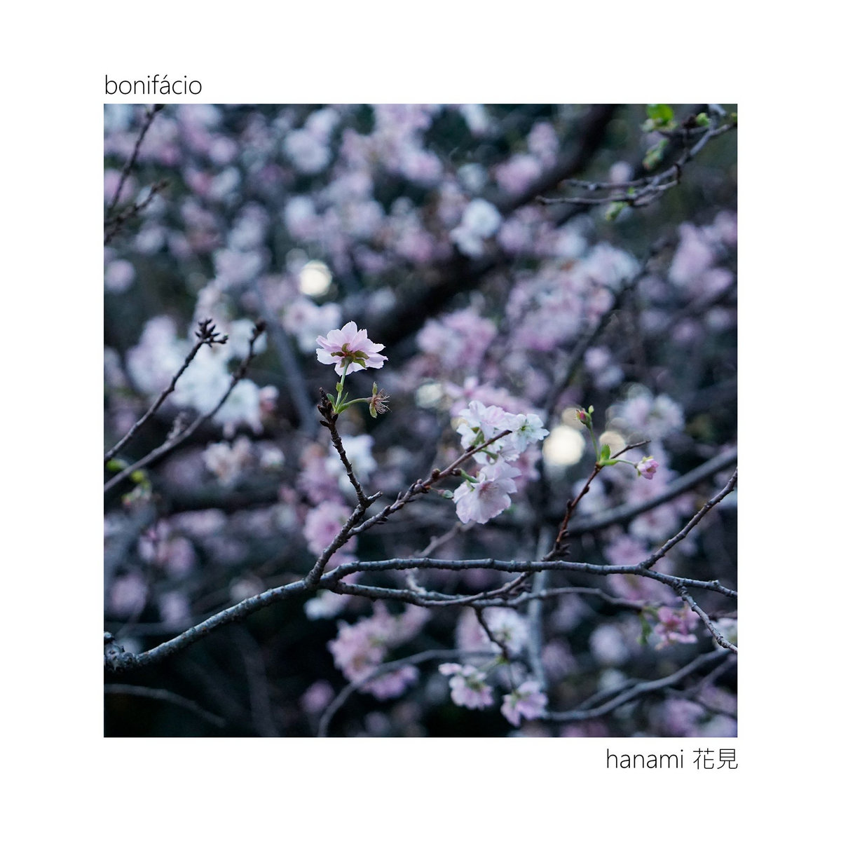 Hanami